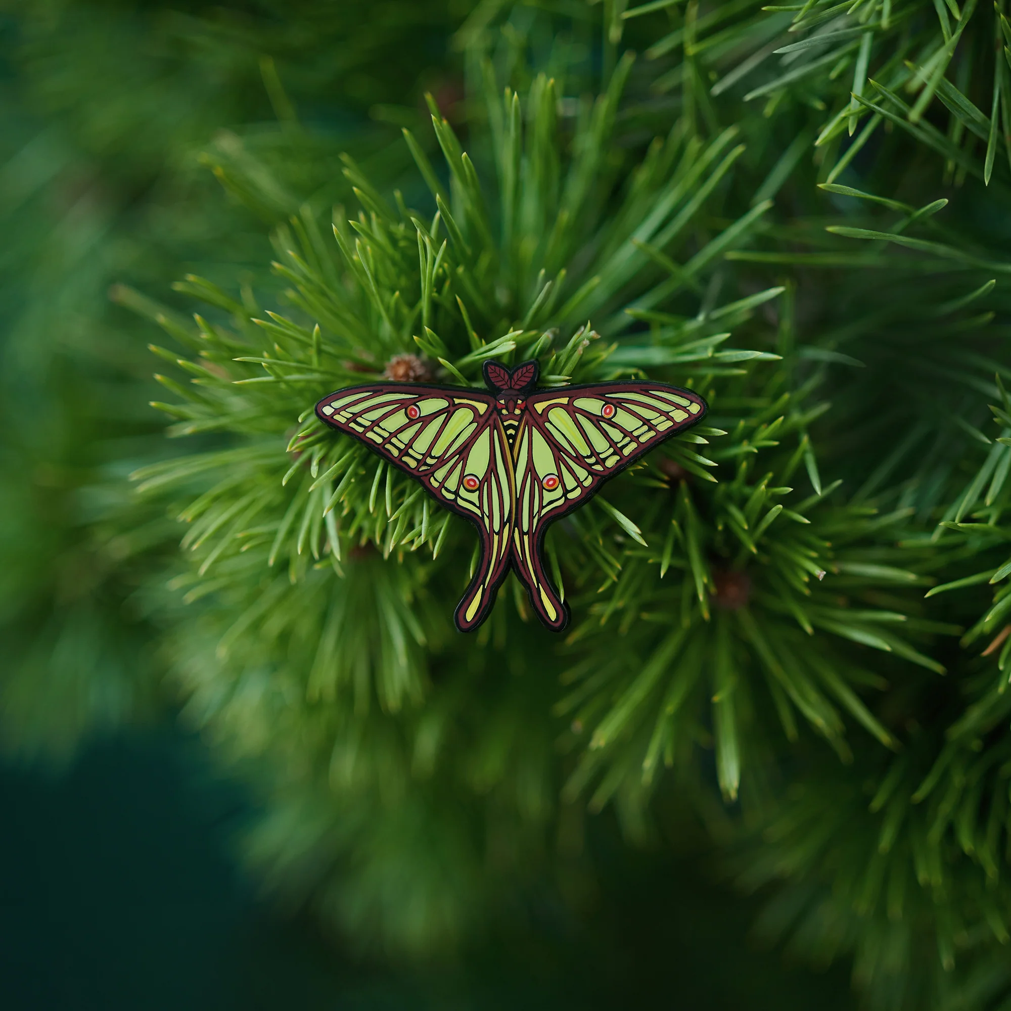 daparo Glow-in-the-Dark Enamel Pins "Spanish Moon Moth" - Image 5