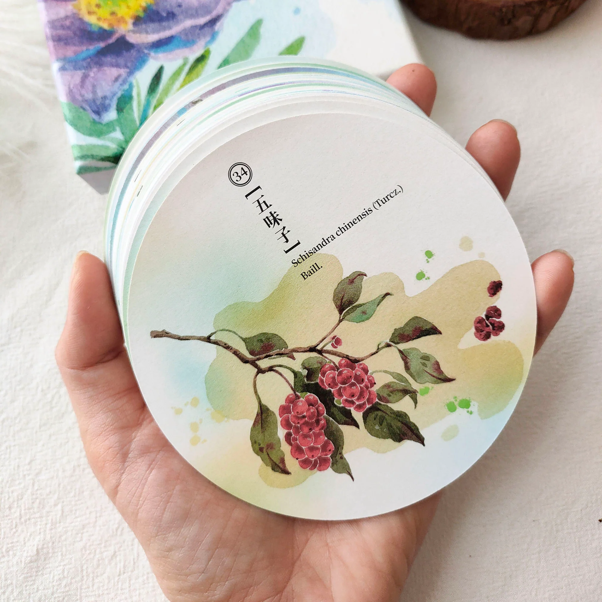 Herbal Inspiration Cards - Image 11