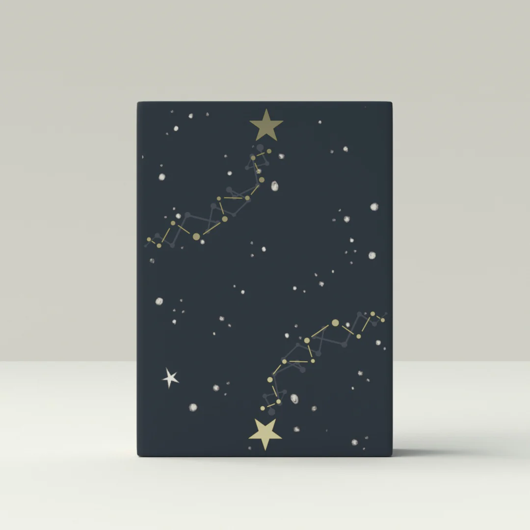 The Little Prince (Le Petit Prince) Insomnia Playing Card Gift Set - Image 13