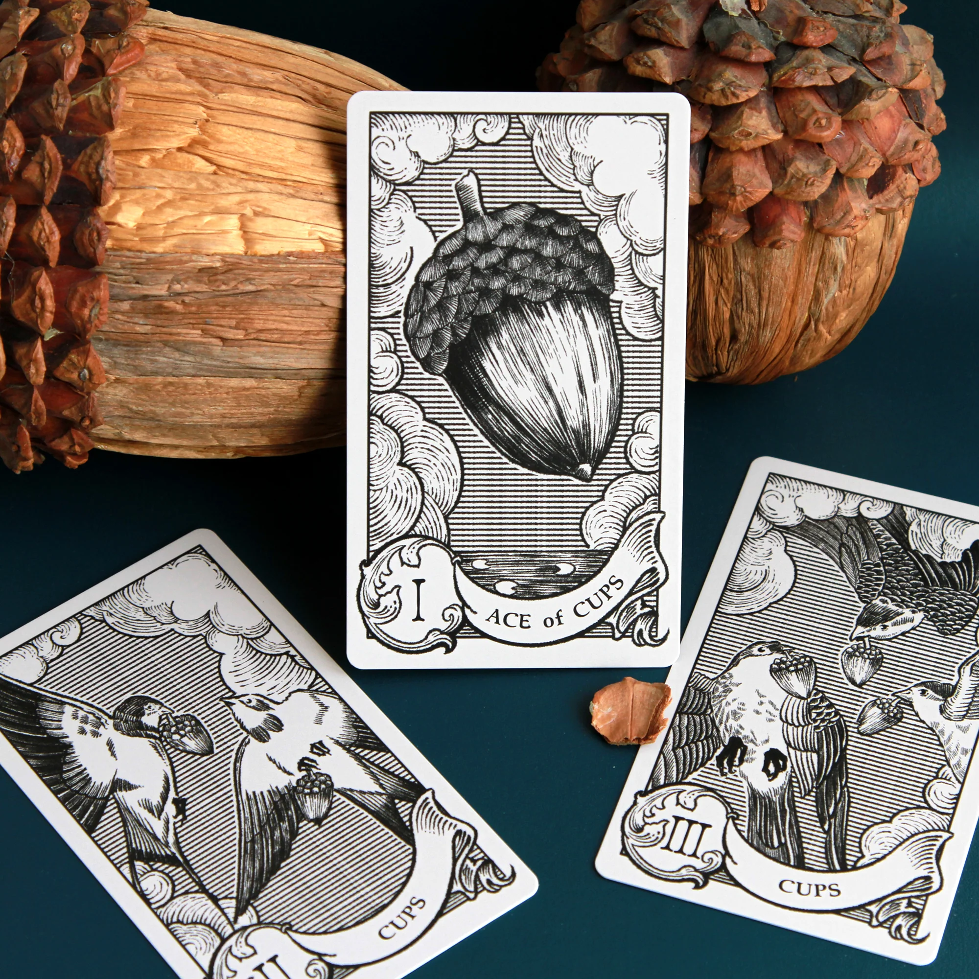 Quill and Ink Tarot - Image 9