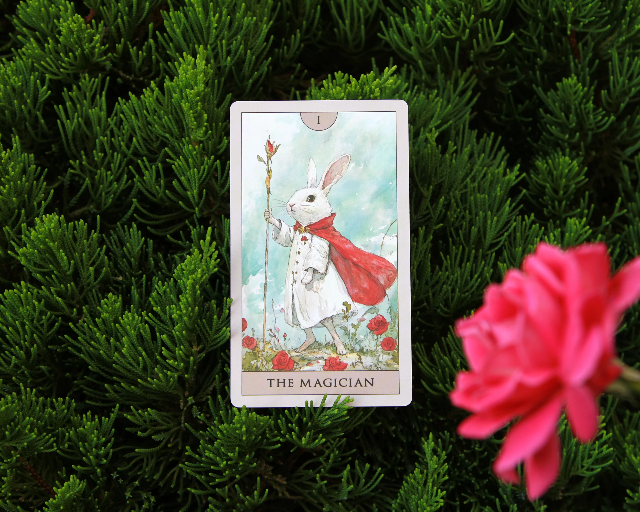 Rabbit Tarot - Image 12