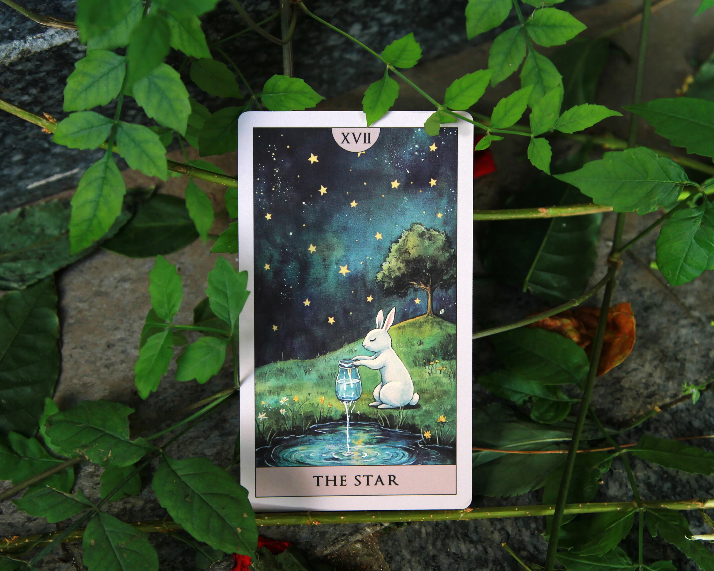 Rabbit Tarot - Image 17