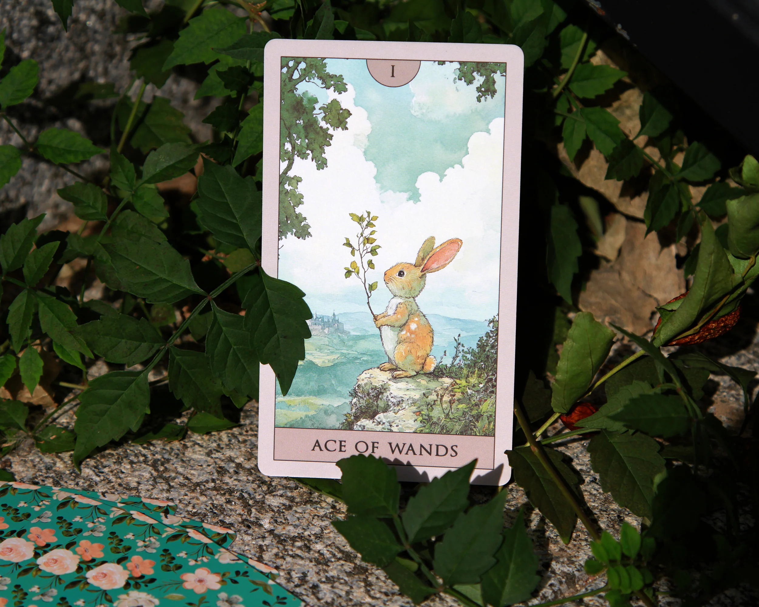 Rabbit Tarot - Image 19