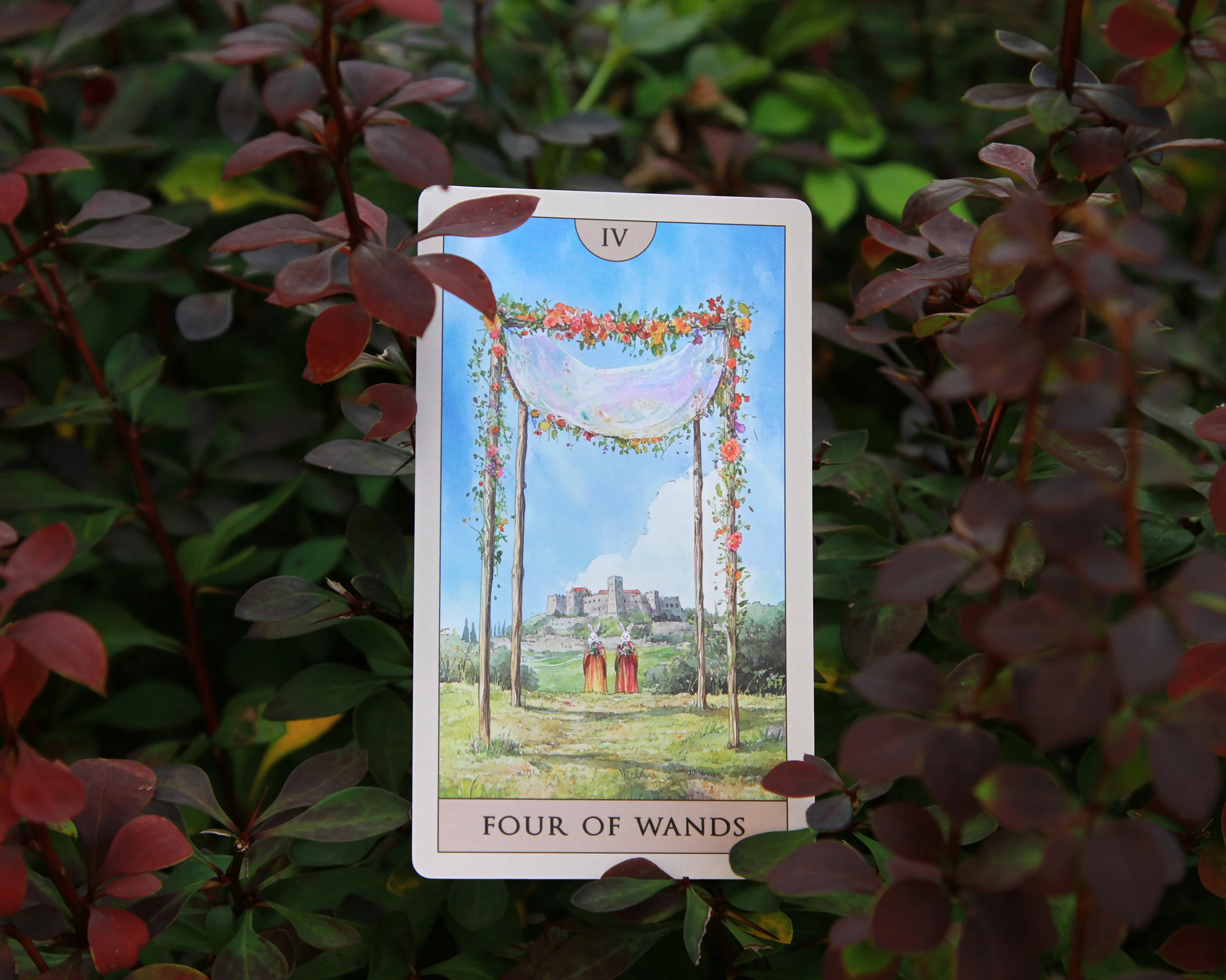 Rabbit Tarot - Image 20