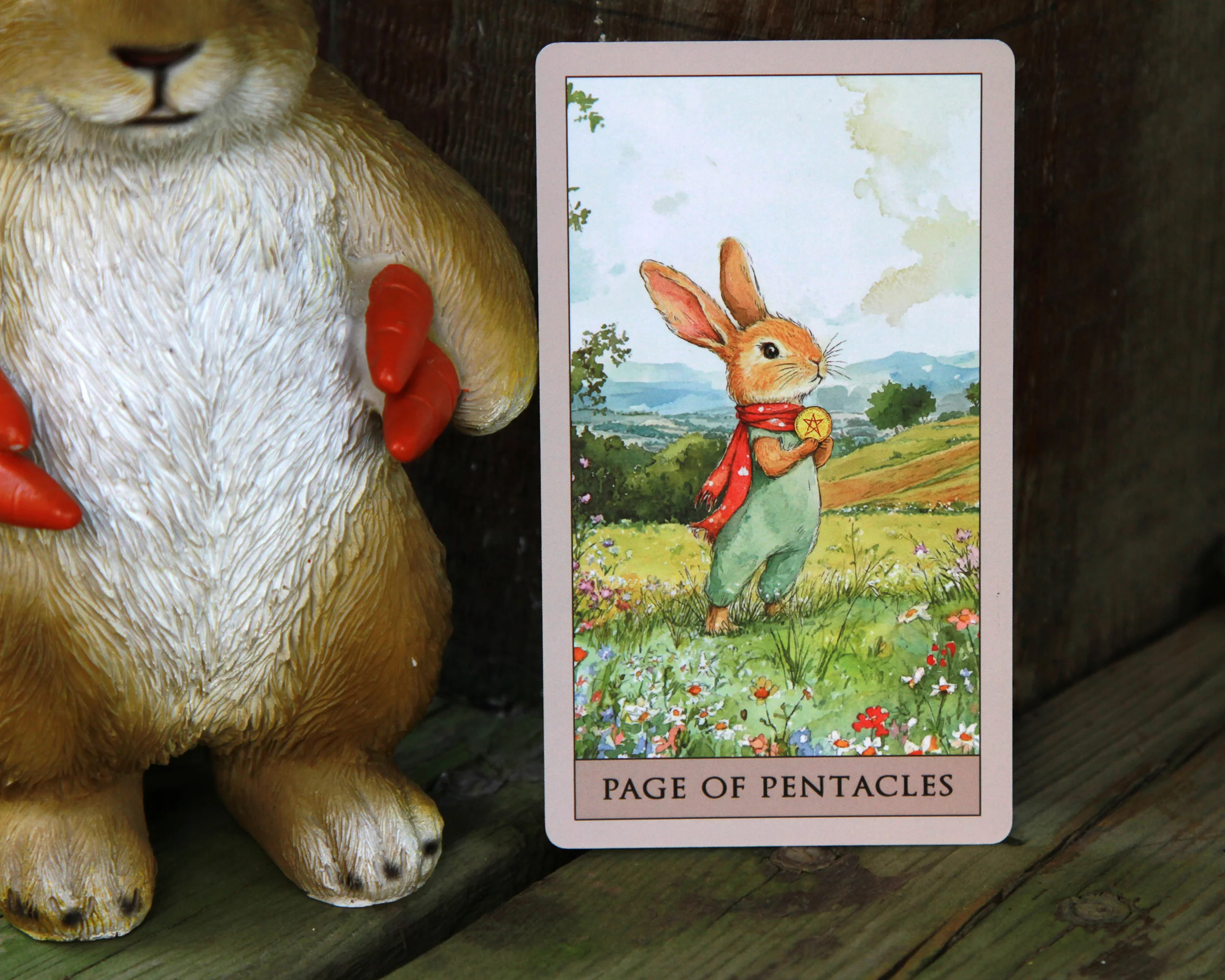 Rabbit Tarot - Image 24